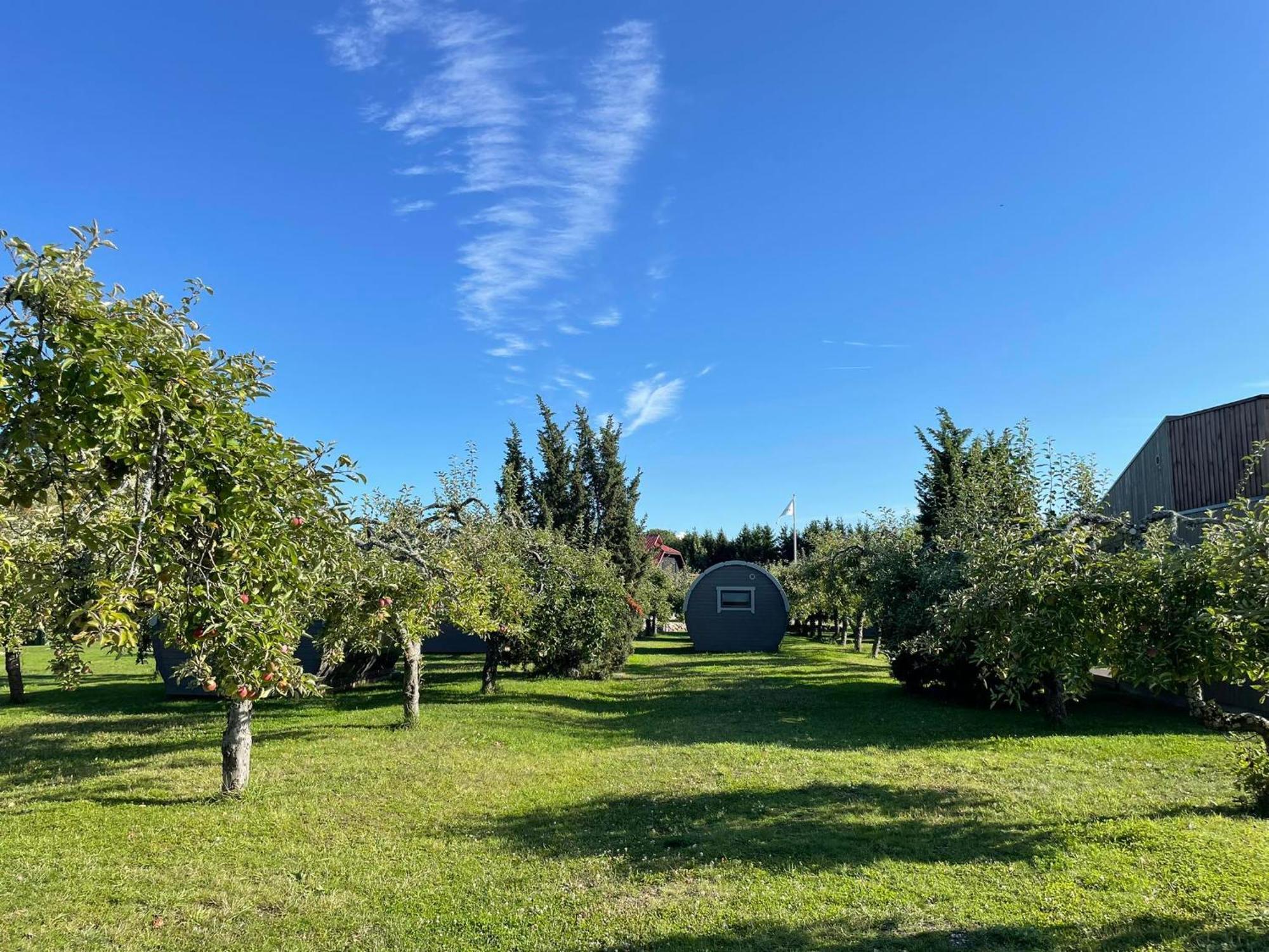 Vetsi Talli Holiday Village Kassari Εξωτερικό φωτογραφία