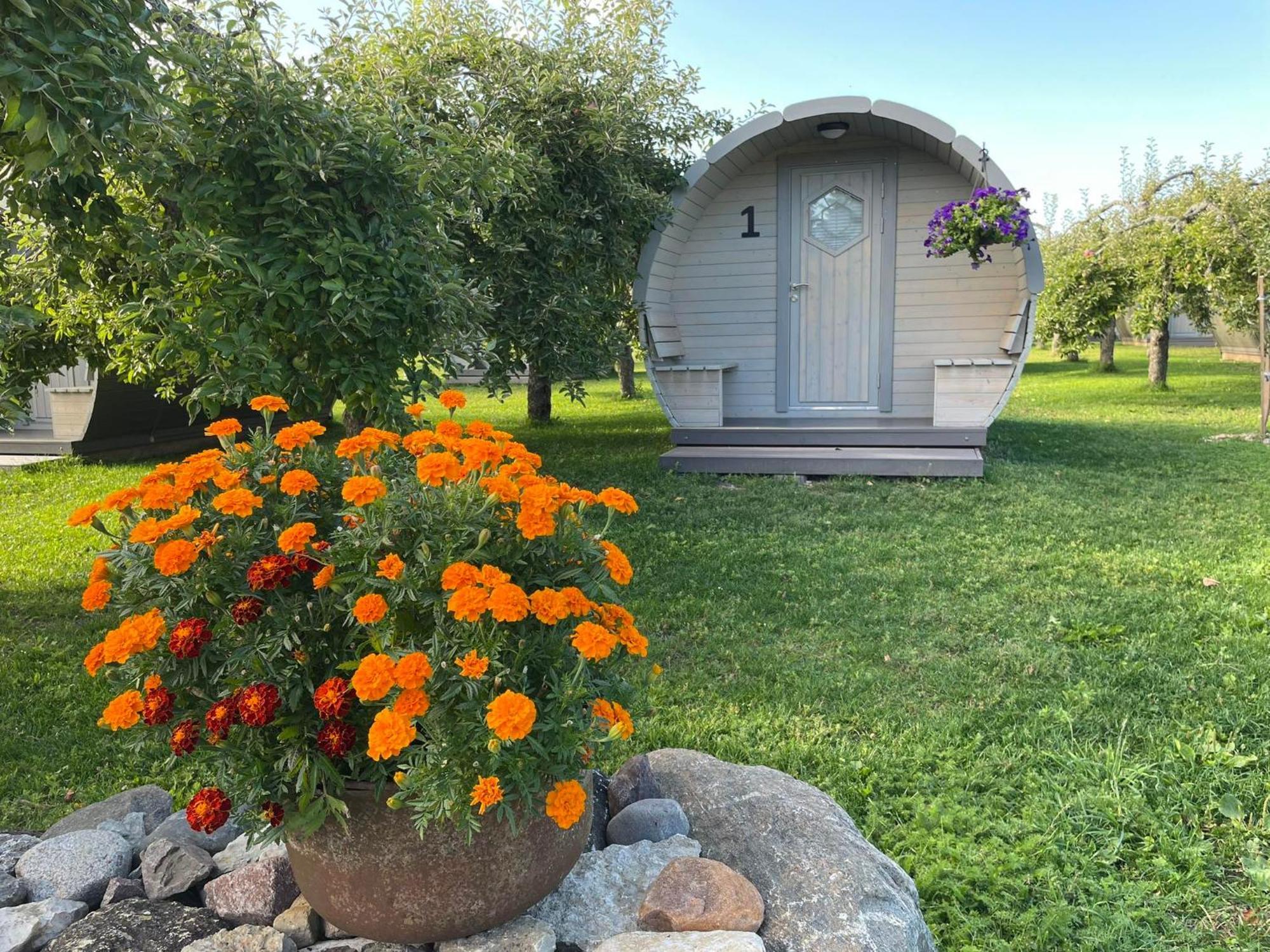 Vetsi Talli Holiday Village Kassari Εξωτερικό φωτογραφία